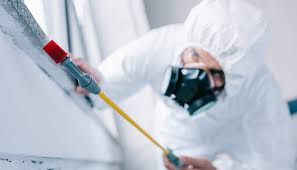 Best Fumigation Services  in Coats, NC